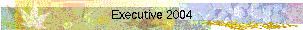 EXECUTIVE 2007